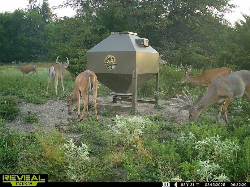 864049055449112-100-2-08152025122811-HD-SYEW1806