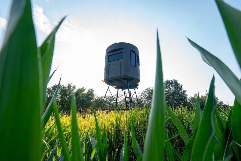 Copy of DSC06165 Large