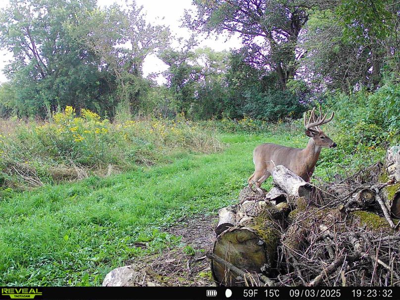 785f7b7a-0ca6-4e4f-b03e-5a11a6ea80a1