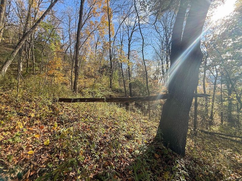 Houston 24.97 Updated-40