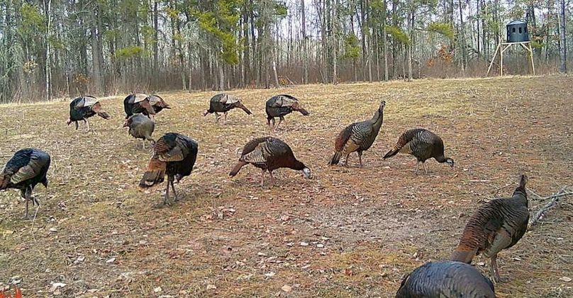 24030611592001001788 (1)