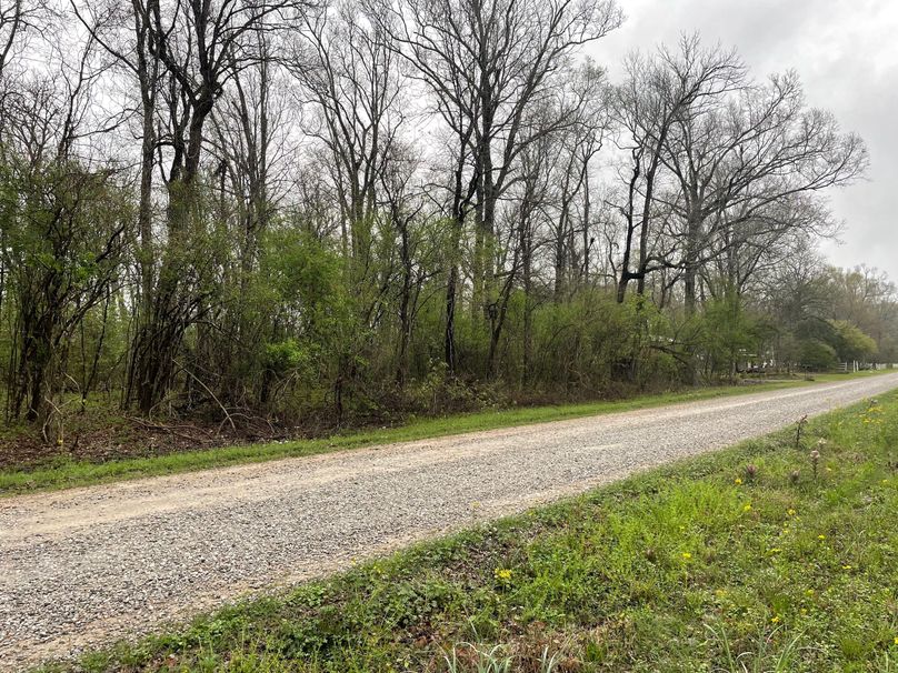 13DB1117-0875-4BB1-B552-744A87BACE87