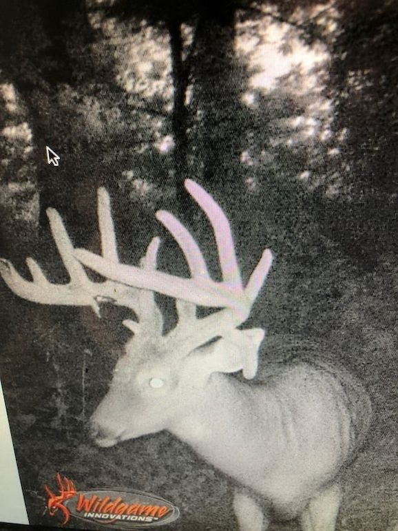 58957873961__C3A99A01-2EFE-4119-85CE-FFFE2FE0C50F