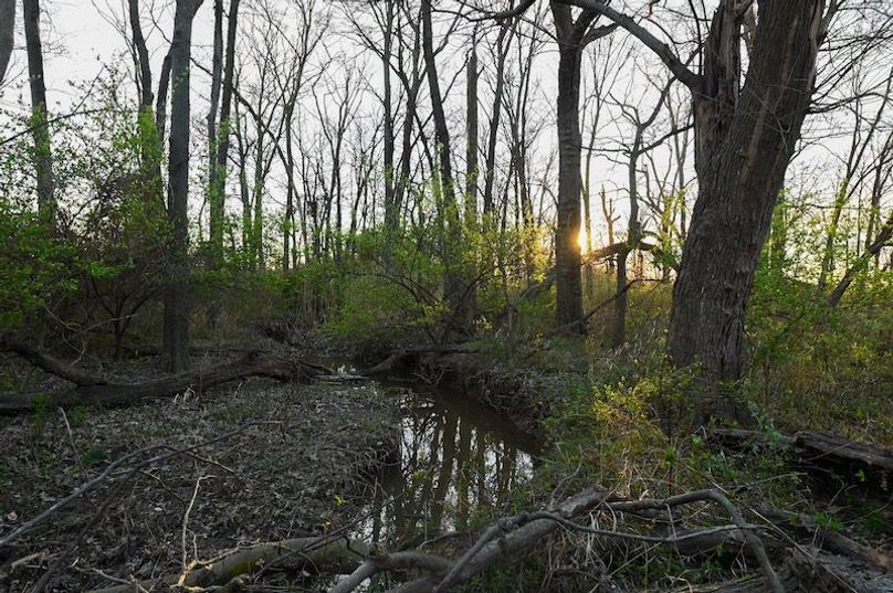 vandalia 450 (2)-2302