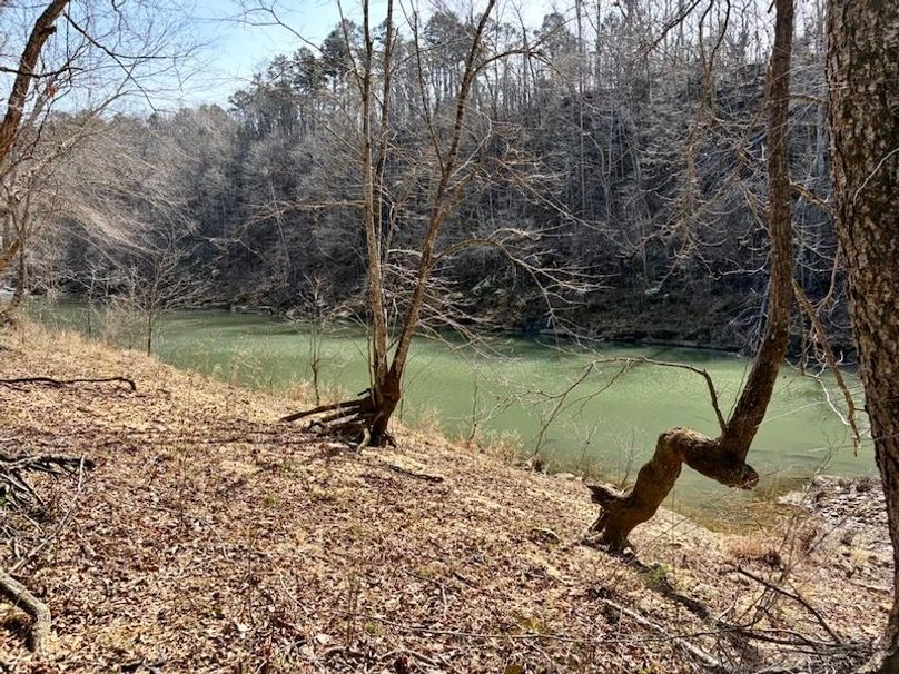 06BDF83A-E387-4882-8FF0-3EBCF9C51AF0_1_105_c