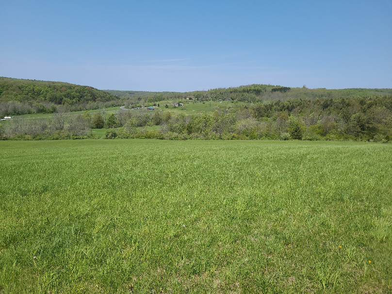 photo_d1f135a0-2d94-4c01-bac3-386fa52fdc63