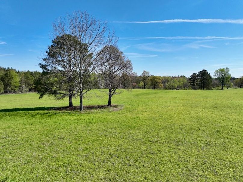 dji_fly_20260317_115828_422_1773763411710_photo