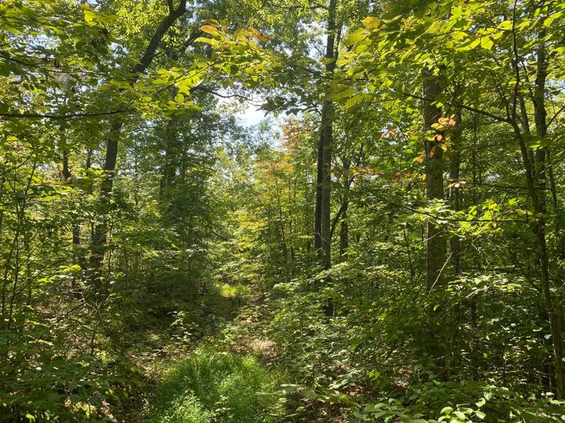 008 secondary trail leading along the east boundary copy