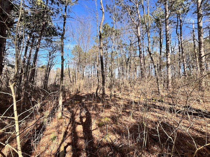 Jefferson_10.4_Somberg Lot 4&5 Photo 6