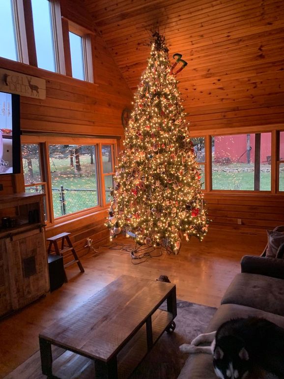 59762198481__3A3BFC80-78E7-4FB1-8C4F-9E6D8C2ADCD9