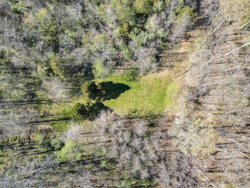 vandalia 450 (2)-2509