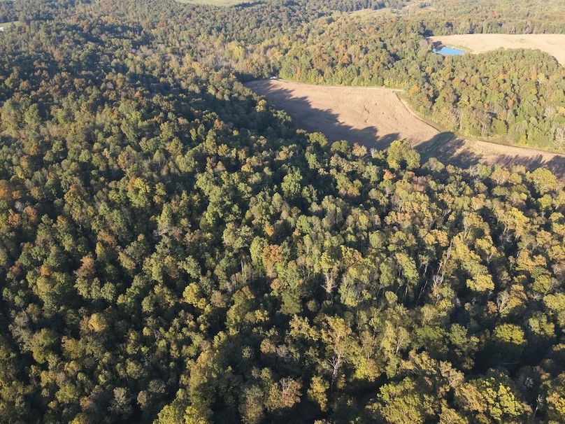 DJI_20251012175913_0006_W