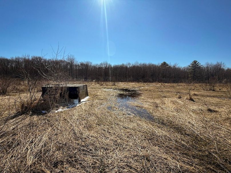 Oswego_8_Cannade_Photos_17