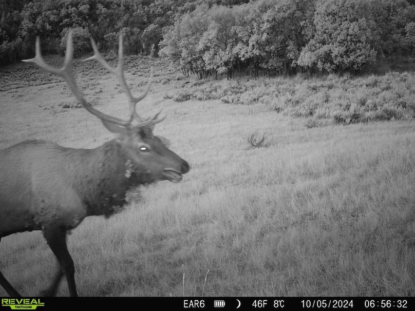 Copy of 868032066947726-80-3-10052024172918-HD-SYFW6977