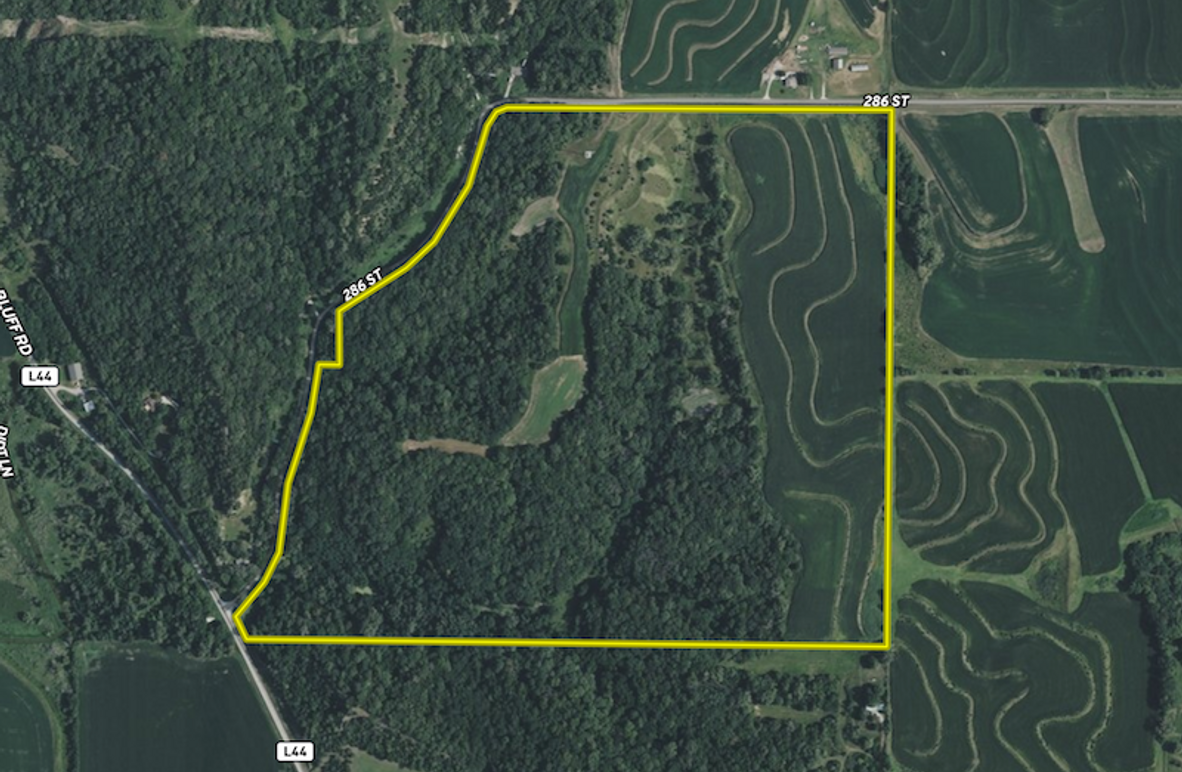 Screenshot 2025-09-13 at 7.41.09 PM