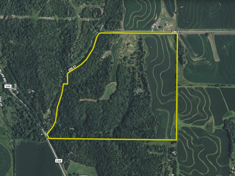 Screenshot 2025-09-13 at 7.41.09 PM