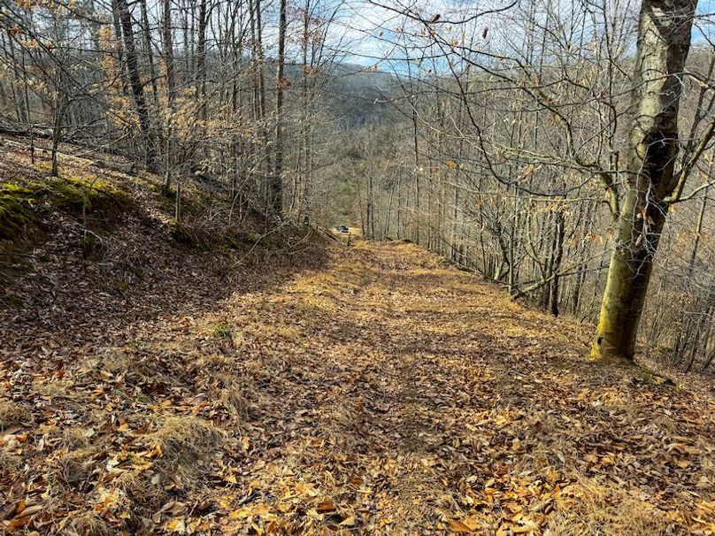 Doddridge, WV 79.08 AC Adams-38