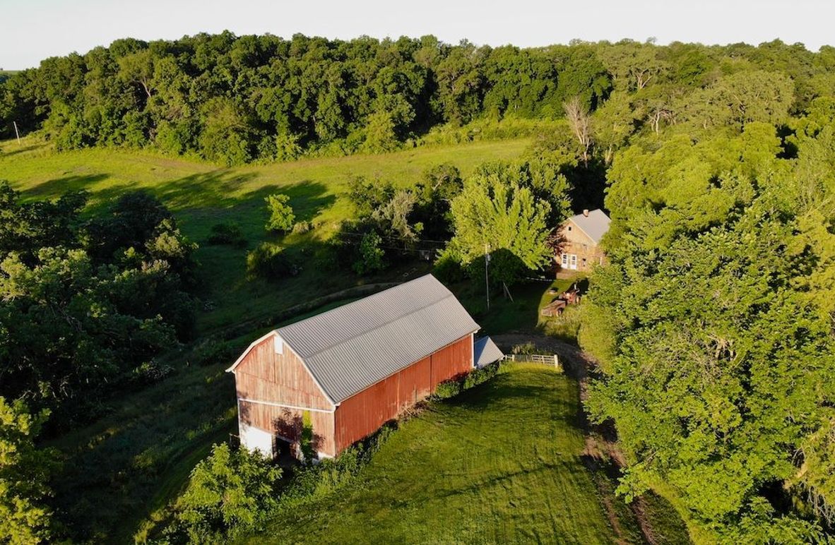 Grant 155.25 - 1 of 57