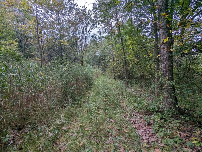 PXL_20230925_230154470