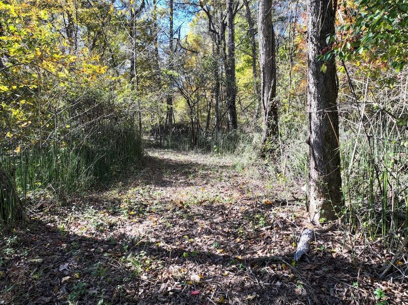 Copy of DJI_20251031134507_0797_D