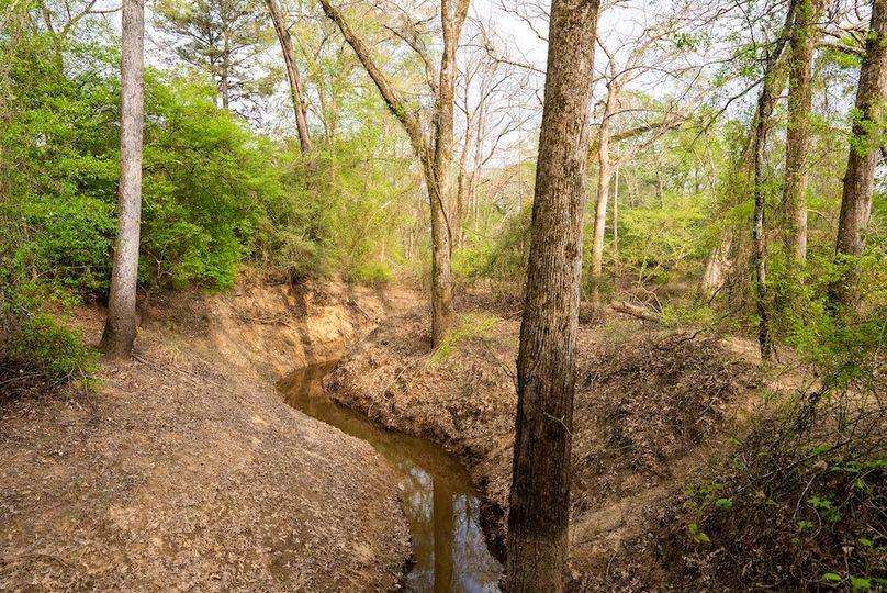 76 Marion TX 143 and 117 Featured_ProPhoto-4