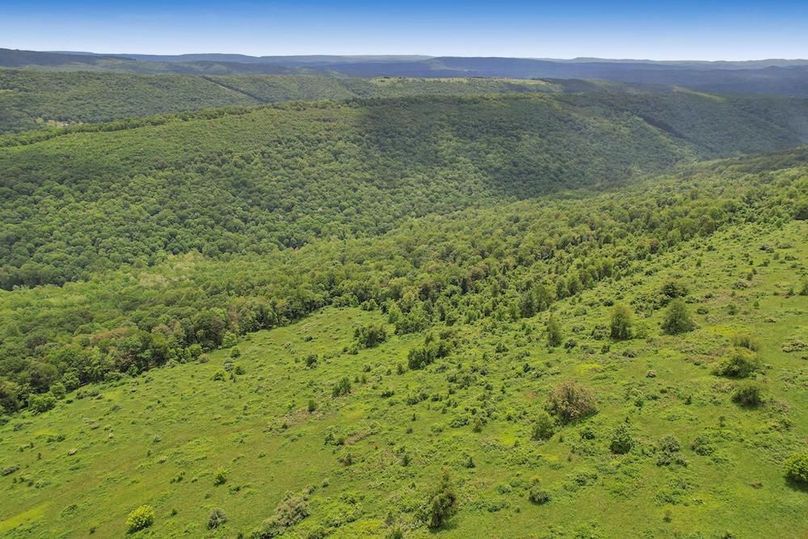 DJI_0447