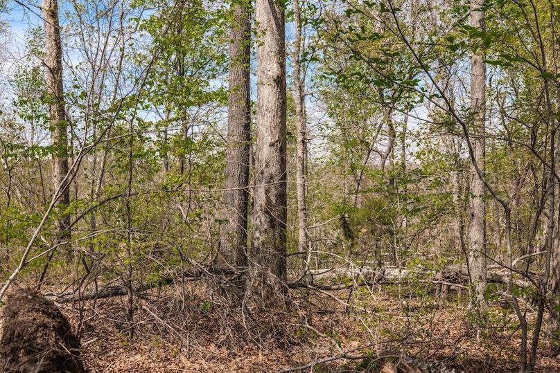 63-web-or-mls-0 Mound Creek Rd-33