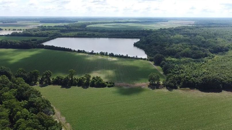 2024-06-01-10-31-33-694