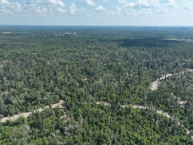 dji_fly_20240814_114642_762_1723676263051_photo
