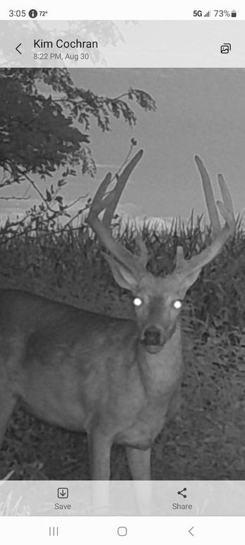 Screenshot_20240831_150549_Messages