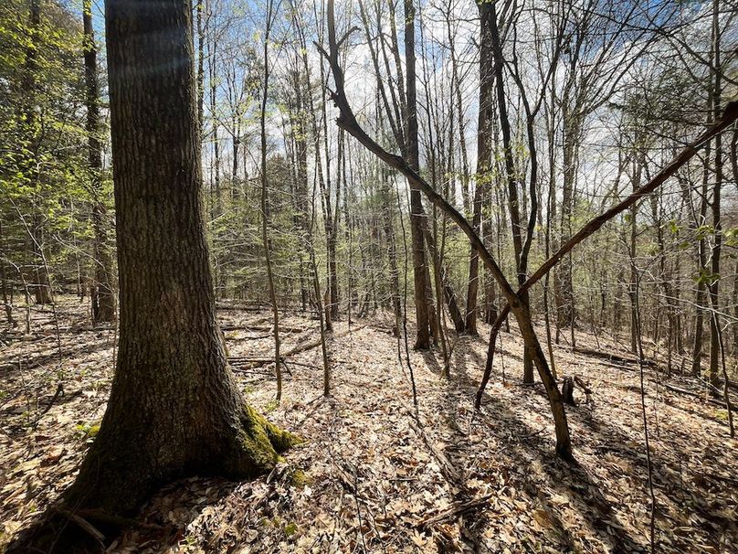 Tioga_76.65_Matyjas_Photos_22