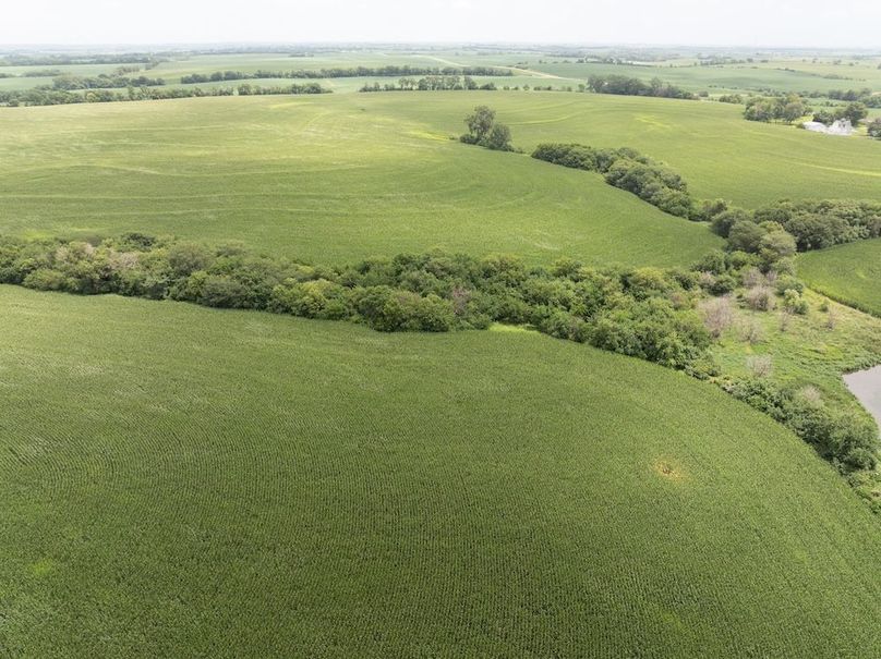 Copy of DJI_20250720135904_0090_D