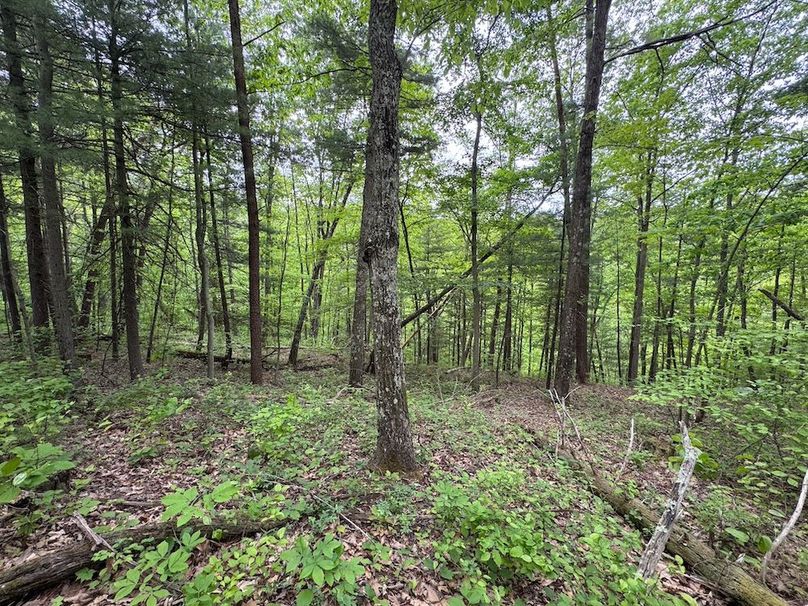 Pleasants, WV 168.59 AC Superior, Swank, Young-096