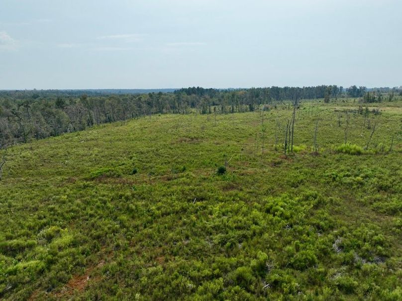 dji_fly_20250918_112446_192_1758209476271_photo