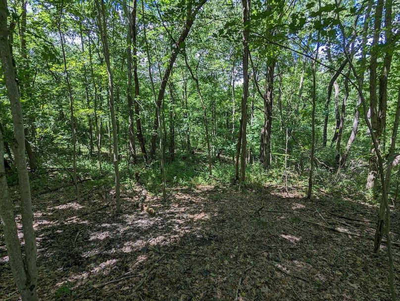 PXL_20240607_183942006