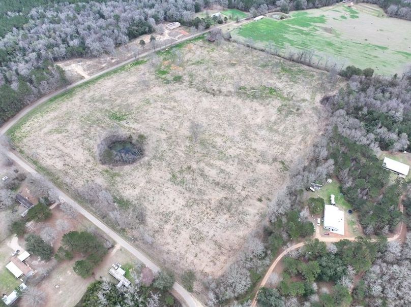 Copy of Copy of dji_fly_20260217_143316_0145_1771436907199_photo