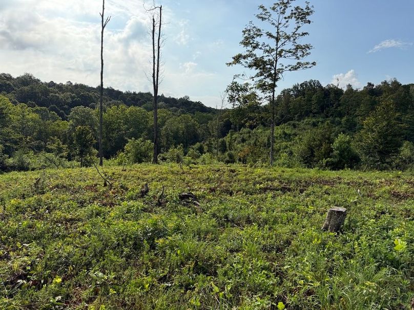 Breckinridge 31.6 12