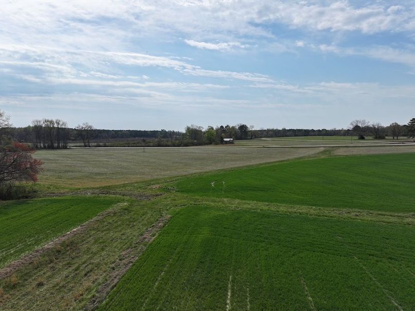 DJI_20260303064512_0583_D