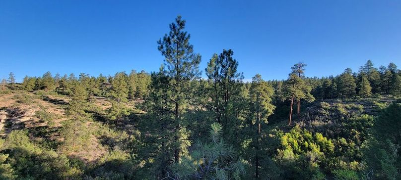 Copy of 20210827_075415