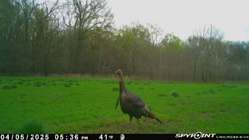 9DA256CA-7AF4-404E-A224-E5C1CD12A6AD-2