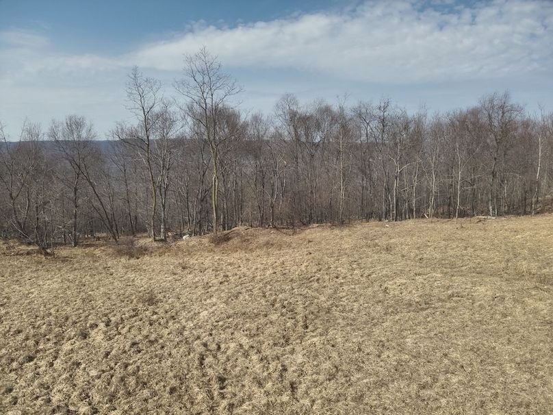 DJI_20250304115416_0027_V