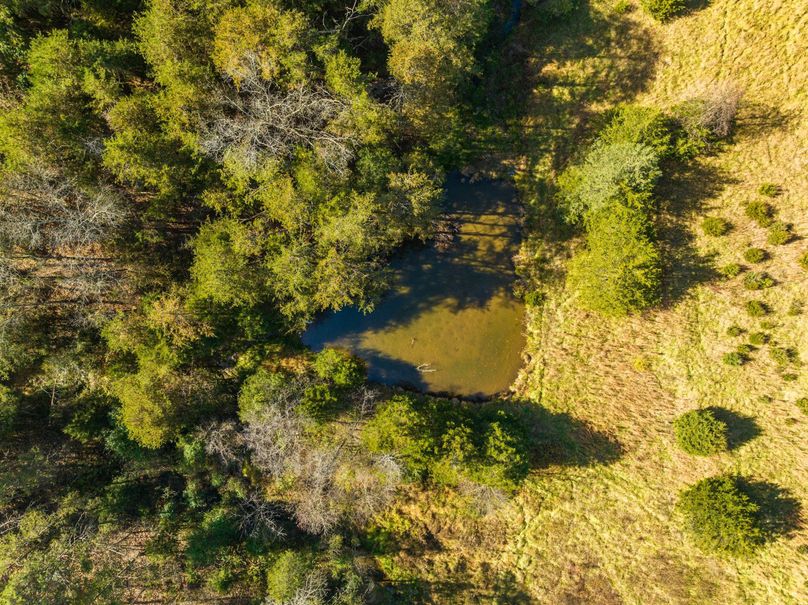 14-web-or-mls-DJI_0389