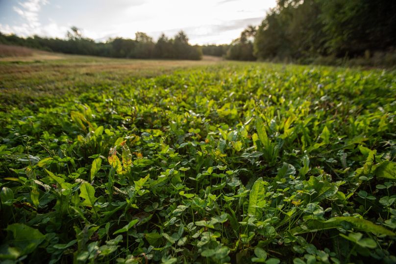 FREMONT CO. IA 158.32_36
