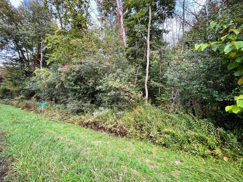 Ontario_16.2_Eddington Photo 30