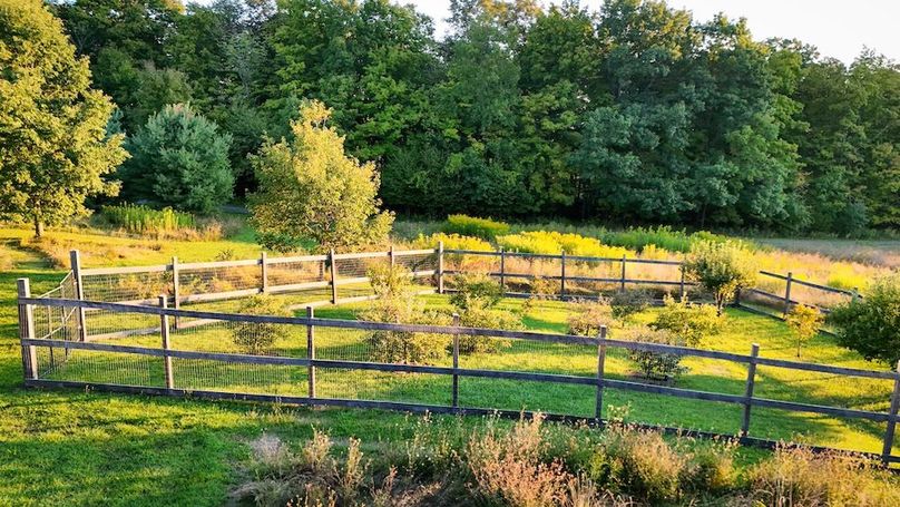 Seneca_65_Engels Photo 33