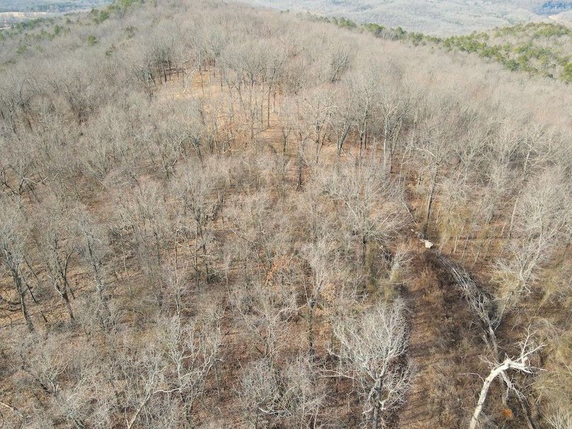 DJI_0631