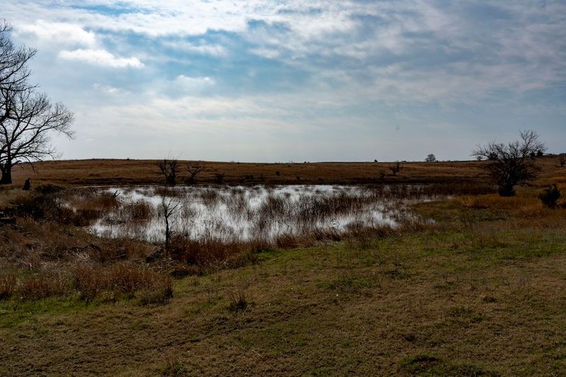 Saline Ks, 159_007