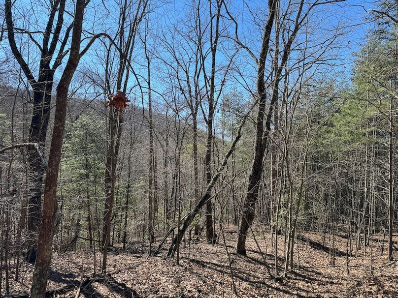 Cherokee 118.85 Harris Top-11