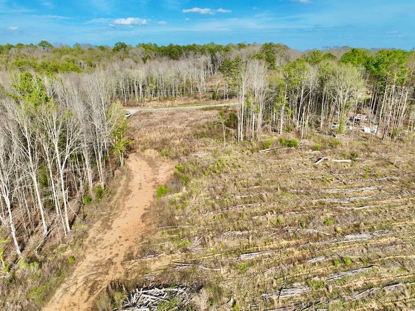 FCBF75A0-CEA9-4009-BE85-17665B2F4F00_1_201_a