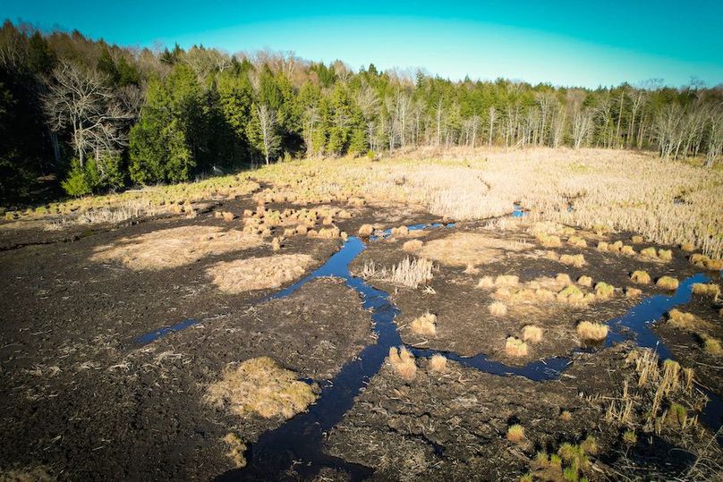 Oswego_17.88_Feld_Photos_62